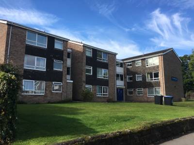 Forest Court