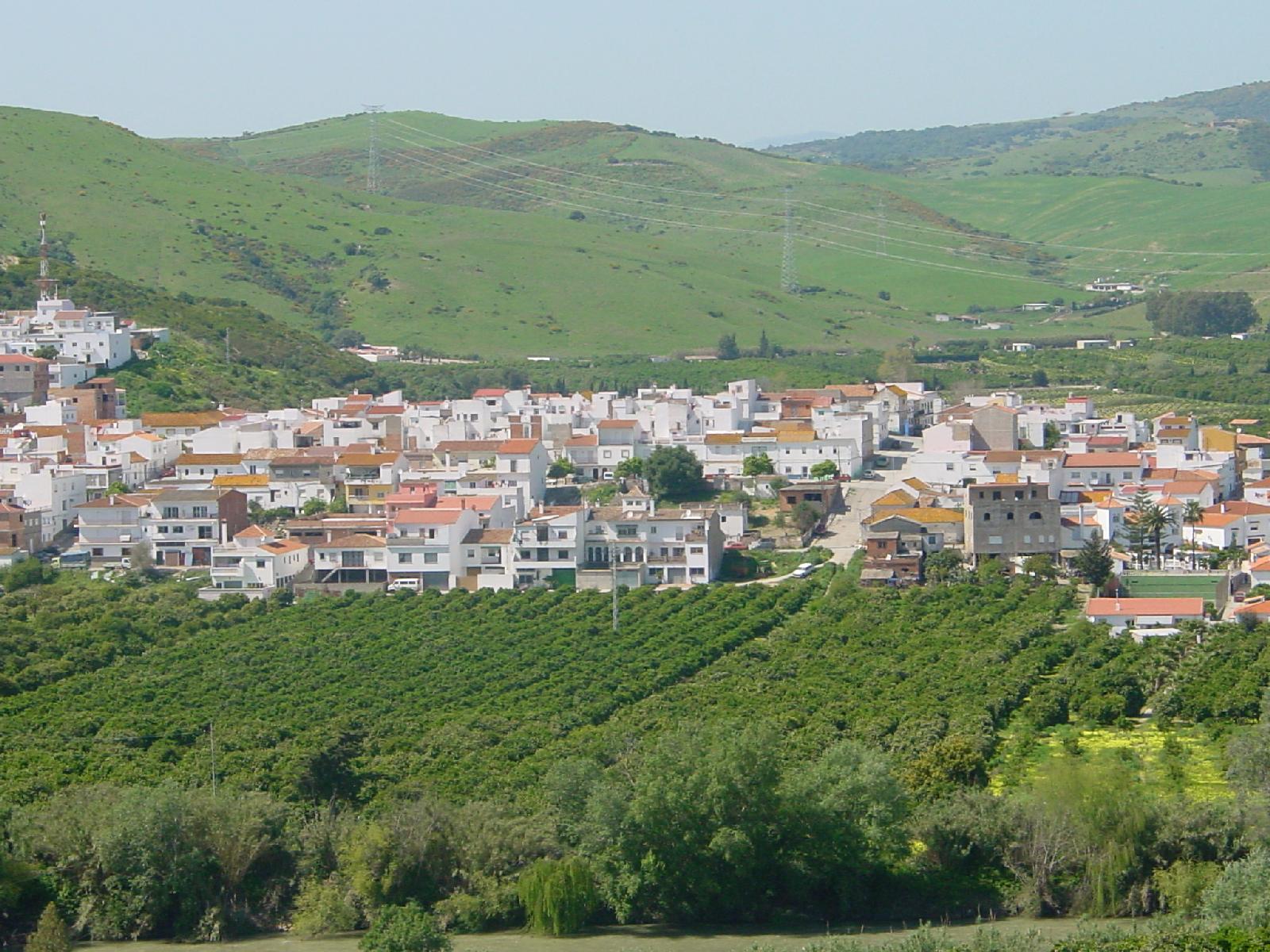 {"uuid":"9be05fdc-a06f-48e7-8b8f-c1d957b34972","tenant_uuid":"9b9811f8-16bd-4740-9b86-3d224f6d8c99","url_key":"san-martin-de-tesorillo-cadiz","location":"San Martin De Tesorillo","latitude":"36.34120040","longitude":"-5.32201410","search_title":"San Mart\u00edn Del Tesorillo Area Guide","image":"andalucia-country-houses\/hero-images\/2024\/04\/23\/e8375131-d3d0-4b9d-b0c3-04e00fb4b246.jpg","main_title":"Discover San Mart\u00edn Del Tesorillo: A Countryside Gem Near The Costa Del Sol","main_content":"<h2>Where Is San Mart&iacute;n Del Tesorillo?<\/h2>\r\nSan Mart&iacute;n Del Tesorillo Is A Small, Welcoming Town Located In The Province Of C&aacute;diz, In Southern Spain. It Forms Part Of The Campo De Gibraltar Region And Sits Inland From The Coast, Just 20 Minutes&rsquo; Drive From The Prestigious Resort Of Sotogrande. Nestled Along The Banks Of The Guadiaro River, It Enjoys A Fertile, Green Landscape Characterised By Citrus Groves, Pastures, And Rolling Hills.<br \/><br \/>The Town&rsquo;s Location Makes It Particularly Attractive To Those Seeking A Peaceful Rural Lifestyle With Easy Access To The Coast. Gibraltar Is Only 35 Minutes Away By Car, While The Vibrant Towns Of Estepona And San Roque Are Within A Half-hour Drive. M&aacute;laga International Airport Can Be Reached In Just Over An Hour, Making The Area Easily Accessible For International Visitors Or Frequent Travellers.<br \/><br \/>San Mart&iacute;n Del Tesorillo Benefits From Good Road Connections, Including Proximity To The A-7 Motorway, Which Links The Town With Other Parts Of Andalusia And The Costa Del Sol. The Surrounding Area Is Well Known For Its Equestrian Culture, With World-class Polo Clubs And Riding Facilities In Nearby Sotogrande. This Location Offers An Excellent Balance Between Countryside Charm And Modern Convenience.<br \/><br \/>\r\n<h2>San Mart&iacute;n Del Tesorillo Market Trends<\/h2>\r\nThe Property Market In San Mart&iacute;n Del Tesorillo Offers Excellent Value Compared To More Developed Coastal Areas. Prices Here Remain Significantly More Affordable Than In Nearby Towns Like Sotogrande Or Estepona, Yet Properties Often Offer Much More Land, Privacy, And Potential For Renovation Or Development.<br \/><br \/>Homebuyers Will Find A Variety Of Property Types, Including Traditional Townhouses, Rustic Fincas, Equestrian Estates, And Country Villas. Many Properties Are Ideal For Those Looking For Space To Grow Their Own Produce, Keep Horses, Or Simply Enjoy A Quieter Lifestyle In A Natural Setting.<br \/><br \/>Interest In The Town Has Been Steadily Increasing In Recent Years, Especially Among International Buyers. The Shift Toward Remote Working And A Desire For A More Sustainable, Wellness-focused Lifestyle Has Drawn Attention To Inland Locations Such As San Mart&iacute;n Del Tesorillo. This Growing Demand Is Encouraging Gentle Appreciation In Property Values, Particularly For Well-maintained And Upgraded Homes With Modern Amenities.<br \/><br \/>Properties That Are Move-in Ready Or That Have Been Renovated With Energy Efficiency And Eco-conscious Features Are Particularly Attractive. There Is Also An Emerging Trend Of Buyers Seeking Properties With Potential For Holiday Rentals Or Rural Tourism Ventures.<br \/><br \/>\r\n<h2>What Is It Like To Live In San Mart&iacute;n Del Tesorillo?<\/h2>\r\nLife In San Mart&iacute;n Del Tesorillo Is Relaxed, Community-oriented, And Closely Connected To Nature. The Town Offers A Friendly And Inclusive Environment, With A Mix Of Spanish Residents And An Increasing Number Of International Homeowners Who Are Drawn To The Town&rsquo;s Authenticity And Laid-back Atmosphere.<br \/><br \/>The Town Itself Has A Range Of Essential Services Including Supermarkets, Banks, Caf&eacute;s, Restaurants, A Pharmacy, And A Health Centre. Local Schools Are Available For Younger Children, And International Schools In Nearby Sotogrande Are Easily Accessible For Families Who Prefer An English-language Or Bilingual Education.<br \/><br \/>Residents Enjoy A Strong Sense Of Community, With Local Festivals And Events Providing Opportunities To Socialise And Celebrate Local Culture. The Summer Feria, Equestrian Events, And Village Markets Bring The Town To Life Throughout The Year.<br \/><br \/>Outdoor Living Is A Major Part Of Daily Life. The Surrounding Countryside Provides Countless Opportunities For Walking, Horse Riding, Cycling, And Nature Observation. The Guadiaro River Offers A Peaceful Place To Relax Or Explore, And The Nearby Alcornocales Natural Park Is A Haven For Wildlife And Outdoor Enthusiasts.<br \/><br \/>Despite Its Rural Setting, The Town Is Well Connected. Whether You Are Heading To The Beach, Attending A Polo Match, Shopping In Sotogrande, Or Catching A Flight, San Mart&iacute;n Del Tesorillo Offers The Best Of Both Worlds: Serenity And Accessibility.<br \/><br \/>\r\n<h2>Investment Potential In San Mart&iacute;n Del Tesorillo<\/h2>\r\nSan Mart&iacute;n Del Tesorillo Presents A Promising Opportunity For Property Investors And Lifestyle Buyers Alike. Its Affordable Pricing, Scenic Setting, And Proximity To High-value Coastal Towns Make It An Attractive And Accessible Market.<br \/><br \/>Many Of The Homes In The Area Come With Large Plots Of Land, Ideal For Equestrian Facilities, Organic Farming, Or Developing Boutique Rural Accommodation. Properties With Land And Water Access Are Particularly Desirable And Can Be Transformed Into Yoga Retreats, Guesthouses, Or Countryside Rental Homes Catering To Tourists Seeking Peace And Nature.<br \/><br \/>The Area Also Appeals To Buyers Interested In Creating Multi-generational Family Homes Or Self-sufficient Living Spaces. With Growing Interest In Eco-tourism, Sustainable Development, And Digital Nomadism, Properties In San Mart&iacute;n Del Tesorillo Have Untapped Potential For Rental Income And Long-term Capital Growth.<br \/><br \/>As The Demand For Authentic Andalusian Living Continues To Rise, This Inland Town Is Gaining Recognition For Its Strategic Location, Traditional Character, And Relatively Low Entry Price Compared To Nearby Coastal Markets.<br \/><br \/>\r\n<h2>Why Choose Andalucia Country Houses?<\/h2>\r\nBuying A Rural Property In Spain Requires Expert Guidance, And That Is Exactly What Andalucia Country Houses Provides. With Over 20 Years Of Experience In The Andalusian Property Market, Our Team Specialises In Countryside, Character, And Equestrian Properties That Require A Nuanced Understanding Of Local Laws, Planning Regulations, And Land Usage Classifications.<br \/><br \/>We Pride Ourselves On Our Personal Service, Deep Market Knowledge, And Commitment To Helping Our Clients Make Well-informed, Confident Decisions. Whether You Are Relocating, Investing, Or Searching For A Second Home, We Provide End-to-end Support Throughout The Buying Process.<br \/><br \/>Our Carefully Curated Property Portfolio In San Mart&iacute;n Del Tesorillo And The Surrounding Areas Includes Exclusive Listings And Off-market Opportunities. From Traditional Fincas To Modernised Rural Homes, We Help You Find A Property That Fits Your Vision And Lifestyle.<br \/><br \/>At Andalucia Country Houses, We Do Not Just Sell Homes. We Help People Find Places Where They Can Thrive, Relax, And Build A Life Rooted In The Rich Beauty Of Southern Spain.<br \/><br \/>\r\n<h2>Frequently Asked Questions<\/h2>\r\n<strong>Is San Mart&iacute;n Del Tesorillo A Good Place To Retire?<\/strong><br \/>Yes, San Mart&iacute;n Del Tesorillo Is A Fantastic Option For Retirees. The Town Offers A Peaceful Setting With A Warm Climate, Low Cost Of Living, And A Welcoming Community. Access To Health Services, Fresh Local Produce, And Outdoor Activities Makes It Particularly Appealing For Those Seeking A Healthier, More Relaxed Lifestyle. The Proximity To The Coast And Nearby Airports Also Ensures That Friends And Family Can Visit Easily.<br \/><br \/><strong>Are There Good Education Options Nearby?<\/strong><br \/>While San Mart&iacute;n Del Tesorillo Has Local Schools For Young Children, Many Families Choose To Send Their Children To International Schools Located In Nearby Sotogrande. These Schools Offer Bilingual Or English-language Education And Are Known For Their High Academic Standards. The Short Commute Makes It Convenient For Parents Seeking Quality Education Without Living In A High-density Urban Area.<br \/><br \/><strong>What Types Of Properties Are Available?<\/strong><br \/>A Wide Range Of Properties Is Available In The Area. Buyers Can Find Traditional Village Houses, Rustic Fincas With Land, Equestrian Estates, And Modern Country Villas. Many Properties Offer Generous Outdoor Space, Mature Gardens, And Potential For Development. Some Homes Have Been Updated With Eco-friendly Features, While Others Offer Restoration Potential For Buyers Looking To Personalise Their Property.<br \/><br \/><strong>Is San Mart&iacute;n Del Tesorillo Suitable For Remote Working?<\/strong><br \/>Yes, The Town Is Increasingly Popular Among Remote Workers Who Value Tranquillity And Natural Surroundings. High-speed Internet Is Available, And The Peaceful Environment Is Ideal For Focused Work. With Nearby Caf&eacute;s, Outdoor Spaces, And Excellent Connectivity To Airports And Cities, It Provides A Comfortable Base For Digital Nomads Or Professionals Working From Home.<br \/><br \/>\r\n<h2>Conclusion: Make San Mart&iacute;n Del Tesorillo Your Next Move<\/h2>\r\nSan Mart&iacute;n Del Tesorillo Offers A Unique Lifestyle Opportunity In The Heart Of Andalusia. With Its Combination Of Affordable Properties, Scenic Landscapes, Community Charm, And Proximity To The Coast, It Appeals To A Wide Range Of Buyers Seeking Something More Meaningful Than The Typical Resort Life.<br \/><br \/>Whether You Are Looking For A Forever Home, A Peaceful Escape, Or A Smart Investment, This Beautiful Town Is Full Of Potential. At Andalucia Country Houses, We Are Here To Guide You Through Every Step Of Your Property Journey With Clarity, Expertise, And Genuine Care.<br \/><br \/><strong>Contact <span Style=\"color: #34495e;\"><a Href=\"https:\/\/www.andalucia-country-houses.com\/\" Style=\"color: #34495e;\">Andalucia Country Houses<\/a><\/span> Today<\/strong> To Explore Properties For Sale In San Mart&iacute;n Del Tesorillo And Take Your First Step Toward A Richer, More Fulfilling Life In Southern Spain.","footer_title":null,"footer_content":null,"youtube_id":null,"hero_image_mode":"centered","gallery_mode":"grid","published":0,"is_featured":0,"created_at":"2024-04-23T13:43:52.000000Z","updated_at":"2025-06-27T09:39:20.000000Z","deleted_at":null,"meta_data":[{"uuid":"9f410c83-a34a-4764-bbb8-f7815d936386","tenant_uuid":"9b9811f8-16bd-4740-9b86-3d224f6d8c99","entity_uuid":"9be05fdc-a06f-48e7-8b8f-c1d957b34972","entity_type":"App\\Models\\AreaGuide","locale":"en","url":null,"title":"San Mart\u00edn Del Tesorillo Property Guide 2025 | Andalucia Country Houses","description":"Discover Life And Property Opportunities In San Mart\u00edn Del Tesorillo, C\u00e1diz. Explore Market Trends, Investment Potential, And Local Living With Andalucia Country Houses.","created_at":"2025-06-27T09:41:56.000000Z","updated_at":"2025-06-27T09:41:56.000000Z","deleted_at":null,"parent_uuid":null},{"uuid":"9f410c83-a407-4765-9386-7c1de4d7c879","tenant_uuid":"9b9811f8-16bd-4740-9b86-3d224f6d8c99","entity_uuid":"9be05fdc-a06f-48e7-8b8f-c1d957b34972","entity_type":"App\\Models\\AreaGuide","locale":"es","url":null,"title":"Gu\u00eda De Propiedades En San Mart\u00edn Del Tesorillo 2025 | Andalucia Country Houses","description":"Descubre La Vida Y Las Oportunidades Inmobiliarias En San Mart\u00edn Del Tesorillo, C\u00e1diz. Explora Las Tendencias Del Mercado, El Potencial De Inversi\u00f3n Y El Estilo De Vida Local Con Andalucia Co","created_at":"2025-06-27T09:41:56.000000Z","updated_at":"2025-06-27T09:41:56.000000Z","deleted_at":null,"parent_uuid":"9f410c83-a34a-4764-bbb8-f7815d936386"}],"articles":[],"images":[{"uuid":"9e0950a5-1e60-468b-841e-1e74a52bec60","tenant_uuid":"9b9811f8-16bd-4740-9b86-3d224f6d8c99","area_guide_uuid":"9be05fdc-a06f-48e7-8b8f-c1d957b34972","filepath":"andalucia-country-houses\/area-guides\/2025\/01\/23\/d6009190-c1e1-4732-82c6-10c2ba6fdd57.jpg","order":null,"caption":null,"created_at":"2025-01-23T10:34:08.000000Z","updated_at":"2025-01-23T10:34:08.000000Z","deleted_at":null},{"uuid":"9e0950a5-2a8c-487c-b299-17c95e0b4035","tenant_uuid":"9b9811f8-16bd-4740-9b86-3d224f6d8c99","area_guide_uuid":"9be05fdc-a06f-48e7-8b8f-c1d957b34972","filepath":"andalucia-country-houses\/area-guides\/2025\/01\/23\/8e146555-0e09-4d38-9bb4-72cb80fbff14.jpg","order":null,"caption":null,"created_at":"2025-01-23T10:34:08.000000Z","updated_at":"2025-01-23T10:34:08.000000Z","deleted_at":null},{"uuid":"9e09512d-cf8d-425c-8c53-cac86ad8fcb2","tenant_uuid":"9b9811f8-16bd-4740-9b86-3d224f6d8c99","area_guide_uuid":"9be05fdc-a06f-48e7-8b8f-c1d957b34972","filepath":"andalucia-country-houses\/area-guides\/2025\/01\/23\/6c6a1aff-6611-4df0-af53-8bd491cddc61.jpg","order":null,"caption":null,"created_at":"2025-01-23T10:35:38.000000Z","updated_at":"2025-01-23T10:35:38.000000Z","deleted_at":null}],"amenities":[{"uuid":"9e0951ac-f36a-47a4-8419-0378f5046449","tenant_uuid":"9b9811f8-16bd-4740-9b86-3d224f6d8c99","area_guide_uuid":"9be05fdc-a06f-48e7-8b8f-c1d957b34972","title":"San Martine De Tesorillo Area Facilties","content":"International Boarding School Sotogrande \r\nPolo And Equiestrian Facilities \r\nMedical Centre \r\nBeach 15 Minutes Drive \r\nMalaga International 1hr\r\nGibraltar International 35 Minutes","created_at":"2025-01-23T10:37:01.000000Z","updated_at":"2025-01-23T10:37:01.000000Z","deleted_at":null}]} image