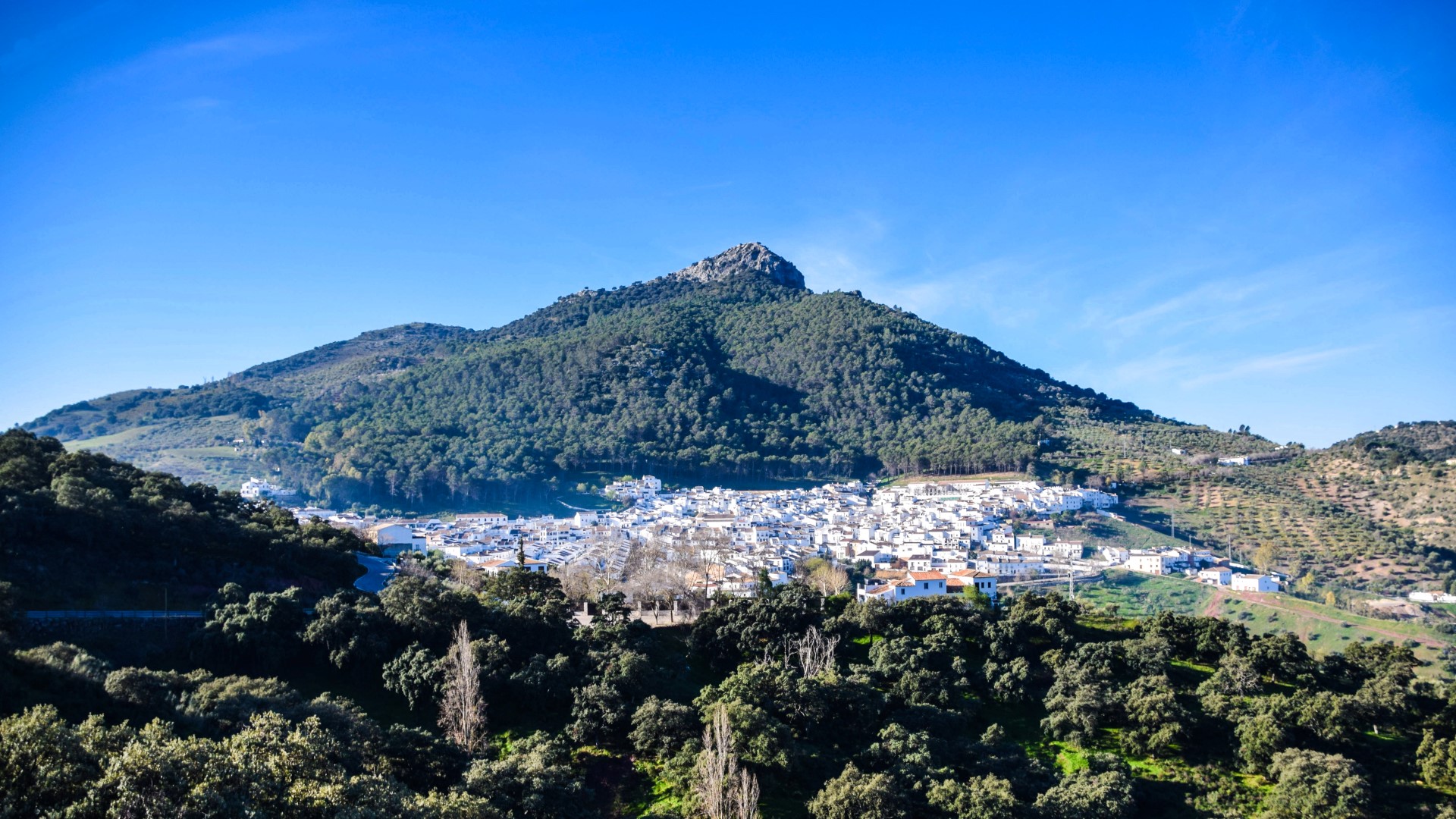 {"uuid":"9bdcb80e-b95c-4e9c-9117-977e6eed0c82","tenant_uuid":"9b9811f8-16bd-4740-9b86-3d224f6d8c99","url_key":"el-gastor","location":"El Gastor","latitude":"36.85602900","longitude":"-5.32266770","search_title":"El Gastor","image":"andalucia-country-houses\/slides\/2025\/01\/23\/e79803ab-8711-41d4-a57d-f5829646feee.jpg","main_title":"El Gastor, Cadiz: The \"Balcony Of The White Villages\" And Its New Development Appeal","main_content":"<p><span Style=\"font-weight: 400;\">Perched Majestically In The Sierra De Cadiz, With Panoramic Views That Stretch Across The Rolling Hills And The Stunning Zahara-El Gastor Reservoir, Lies El Gastor. Affectionately Known As The \"Balcony Of The White Villages,\" This Charming Municipality Embodies The Quintessential Andalusian Dream: A Tranquil Lifestyle, Rich Cultural Heritage, And Unparalleled Natural Beauty. It's A Hidden Gem For Those Seeking An Authentic Spanish Experience Away From The Bustling Coast.<\/span><\/p>\r\n<p><span Style=\"font-weight: 400;\">For Discerning Clients Looking To <\/span><b>buy Or Sell New Developments In El Gastor<\/b><span Style=\"font-weight: 400;\">, <\/span><b>Andalucia Country Houses<\/b><span Style=\"font-weight: 400;\"> Stands As Your Trusted Expert. Our Deep Local Knowledge And Commitment To Personalized Service Ensure That You Navigate This Unique Property Market With Confidence, Finding The Perfect Home Or Achieving The Best Possible Sale.<\/span><\/p>\r\n<h3>Where Is El Gastor?<\/h3>\r\n<p><span Style=\"font-weight: 400;\">El Gastor Is A Picturesque \"pueblo Blanco\" (white Village) Located In The Province Of Cadiz, Andalusia, Southern Spain. It Is Situated In The Heart Of The Sierra De Cadiz, Bordering The Stunning Sierra De Grazalema Natural Park And Overlooking The Beautiful Zahara-El Gastor Reservoir.<\/span><\/p>\r\n<p><span Style=\"font-weight: 400;\">Its Elevated Position, Approximately 520 Meters Above Sea Level, Provides Breathtaking Vistas That Have Earned It Its Famous Nickname. El Gastor Is Strategically Located On The Renowned \"Route Of The White Villages,\" Making It An Ideal Base For Exploring The Region's Cultural And Natural Wonders. It's Just A 20-minute Drive From The Historic City Of Ronda And Offers Convenient Access To Other Charming White Villages Like Zahara De La Sierra And Algodonales. While Offering A Serene Rural Escape, Major Cities Like Seville, Jerez, Cadiz, And Malaga Are All Within A Reasonable Driving Distance (approx. 1.5 Hours), Ensuring Excellent Connectivity.<\/span><\/p>\r\n<h3>El Gastor, Cadiz: Market Trends For New Developments<\/h3>\r\n<p><span Style=\"font-weight: 400;\">The Property Market In El Gastor Is Characterized By Its Authentic Charm And A Growing, Albeit Niche, Interest In Properties That Offer Modern Comforts Within Traditional Settings. Large-scale <\/span><b>new Developments<\/b><span Style=\"font-weight: 400;\"> Are Not Common Here, As The Focus Is On Preserving The Village's Unique Character And Natural Surroundings. Instead, \"new Developments\" Often Refer To Meticulously Renovated Traditional Village Houses Or Bespoke New Builds On Available Plots, Designed To Blend Harmoniously With The Local Aesthetic.<\/span><\/p>\r\n<p><span Style=\"font-weight: 400;\">Key Trends Observed By <\/span><b>Andalucia Country Houses<\/b><span Style=\"font-weight: 400;\"> Include:<\/span><\/p>\r\n<ul>\r\n<li Style=\"font-weight: 400;\" Aria-level=\"1\"><b>Demand For Renovated Traditional Homes:<\/b><span Style=\"font-weight: 400;\"> There Is A Strong And Consistent Demand For Older Village Houses That Have Been Sensitively Renovated To Incorporate Contemporary Amenities, Improved Energy Efficiency, And Comfortable Living Spaces, While Retaining Their Original Charm. These Properties Effectively Offer The Benefits Of A New Build Within A Classic Framework.<\/span><\/li>\r\n<li Style=\"font-weight: 400;\" Aria-level=\"1\"><b>Growing Rural Tourism:<\/b><span Style=\"font-weight: 400;\"> El Gastor's Authentic Charm, Stunning Natural Setting, And Proximity To The Grazalema Natural Park And The Zahara-El Gastor Lake Make It An Increasingly Popular Destination For Rural Tourism. This Fuels A Demand For Properties Suitable For Holiday Rentals, Creating Attractive Investment Opportunities For Renovated Homes And Potential New Builds.<\/span><\/li>\r\n<li Style=\"font-weight: 400;\" Aria-level=\"1\"><b>Affordability And Value:<\/b><span Style=\"font-weight: 400;\"> Compared To The Often-inflated Prices Of Coastal Real Estate, El Gastor Offers Significantly More Accessible Price Points. This Provides Excellent Value For Money For Those Seeking A Property In A Beautiful And Authentic Andalusian Setting.<\/span><\/li>\r\n<li Style=\"font-weight: 400;\" Aria-level=\"1\"><b>Lifestyle-Driven Purchases:<\/b><span Style=\"font-weight: 400;\"> Many Buyers Are Drawn To El Gastor For Its Peaceful, Unhurried Lifestyle And Strong Connection To Nature And Traditional Spanish Culture. This Preference Often Translates Into A Demand For Properties That Facilitate Outdoor Living And Immersion In The Local Community.<\/span><\/li>\r\n<li Style=\"font-weight: 400;\" Aria-level=\"1\"><b>Limited Supply, High Quality Focus:<\/b><span Style=\"font-weight: 400;\"> Due To The Village's Compact Nature And The Desire To Preserve Its Character, The Supply Of Available Properties, Especially Those That Are Either New Or Extensively Renovated, Is Limited. This Scarcity Can Drive Value For Well-executed Projects That Meet Modern Standards While Respecting Local Aesthetics.<\/span><\/li>\r\n<\/ul>\r\n<p><span Style=\"font-weight: 400;\">For The Most Insightful And Up-to-date Information On Opportunities For New Developments Or Renovated Homes In El Gastor, Trust The Dedicated Expertise Of <\/span><b>Andalucia Country Houses<\/b><span Style=\"font-weight: 400;\">.<\/span><\/p>\r\n<h3>What's It Like To Live In El Gastor?<\/h3>\r\n<p><span Style=\"font-weight: 400;\">Living In El Gastor Offers A Deeply Authentic And Peaceful Andalusian Experience, Where Community Spirit, Natural Beauty, And Traditional Customs Are Paramount.<\/span><\/p>\r\n<ul>\r\n<li Style=\"font-weight: 400;\" Aria-level=\"1\"><b>Authentic Village Life:<\/b><span Style=\"font-weight: 400;\"> El Gastor Is A Quintessential \"pueblo Blanco\" With Its Enchanting Cobbled Streets, Whitewashed Houses Adorned With Vibrant Flower Boxes, And A Lively, Friendly Community. The Village Square Is Often The Hub Of Social Activity.<\/span><\/li>\r\n<li Style=\"font-weight: 400;\" Aria-level=\"1\"><b>Nature Lover's Paradise:<\/b><span Style=\"font-weight: 400;\"> Situated On The Edge Of The Sierra De Grazalema Natural Park And Overlooking The Zahara-El Gastor Reservoir, The Village Is An Ideal Location For Outdoor Pursuits. Residents Enjoy Immediate Access To Hiking, Fishing, Kayaking, And Simply Soaking In The Breathtaking Scenery. The Famous \"Giant's Dolmen\" (Tumba Del Gigante) Offers A Fascinating Prehistoric Site To Explore.<\/span><\/li>\r\n<li Style=\"font-weight: 400;\" Aria-level=\"1\"><b>Traditional Culture:<\/b><span Style=\"font-weight: 400;\"> El Gastor Cherishes Its Traditions, Most Notably The \"Gaita Gastore&ntilde;a,\" A Unique Local Wind Instrument, And The Vibrant Corpus Christi Celebration In June. These Events Offer A Wonderful Opportunity To Immerse Yourself In Local Culture.<\/span><\/li>\r\n<li Style=\"font-weight: 400;\" Aria-level=\"1\"><b>Community Spirit:<\/b><span Style=\"font-weight: 400;\"> With A Small Population, El Gastor Boasts A Very Close-knit And Welcoming Community. Life Moves At A Relaxed Pace, Fostering A Genuine Sense Of Belonging And Security.<\/span><\/li>\r\n<li Style=\"font-weight: 400;\" Aria-level=\"1\"><b>Local Amenities:<\/b><span Style=\"font-weight: 400;\"> The Village Provides Essential Daily Amenities, Including Local Shops, Butchers, Bakers, Banks, A Post Office, A Chemist, A Medical Center, And A Selection Of Wonderful Tapas Bars And Restaurants Serving Traditional Cuisine, Often Featuring Local Olive Oil, Chorizo, And Morcilla.<\/span><\/li>\r\n<li Style=\"font-weight: 400;\" Aria-level=\"1\"><b>Peaceful And Unhurried:<\/b><span Style=\"font-weight: 400;\"> El Gastor Offers A Serene Escape From The Noise And Rush Of Urban Life, Allowing Residents To Unwind And Appreciate The Simple Pleasures Of Rural Spanish Living.<\/span><\/li>\r\n<\/ul>\r\n<p><b>Andalucia Country Houses<\/b><span Style=\"font-weight: 400;\"> Deeply Understands The Unique Lifestyle El Gastor Offers And Can Help You Find A New Development Or Renovated Property That Perfectly Integrates Into This Idyllic Setting.<\/span><\/p>\r\n<h3>Investment Potential In El Gastor, Cadiz<\/h3>\r\n<p><span Style=\"font-weight: 400;\">The Investment Potential In <\/span><b>new Developments Within El Gastor, Cadiz<\/b><span Style=\"font-weight: 400;\">, Is Compelling For Those Seeking Long-term Value, Authentic Experiences, And A Strong Sense Of Place.<\/span><\/p>\r\n<ul>\r\n<li Style=\"font-weight: 400;\" Aria-level=\"1\"><b>Growing Rural Tourism Market:<\/b><span Style=\"font-weight: 400;\"> El Gastor's Unique Charm, Natural Beauty, And Authentic Cultural Experiences Make It A Sought-after Destination For Travelers Looking For An Alternative To Mass Tourism. This Drives Strong Potential For Holiday Rentals, Offering Attractive Rental Yields For Well-located And Well-appointed New Developments Or Renovated Properties.<\/span><\/li>\r\n<li Style=\"font-weight: 400;\" Aria-level=\"1\"><b>Value Appreciation:<\/b><span Style=\"font-weight: 400;\"> While Not A High-volume Market, The Limited Supply Of Properties, Coupled With Growing Interest In Authentic Inland Villages, Suggests Steady Capital Appreciation For Well-maintained And Modernized Homes. El Gastor Offers A More Accessible Entry Point Compared To More Saturated Coastal Areas.<\/span><\/li>\r\n<li Style=\"font-weight: 400;\" Aria-level=\"1\"><b>Lifestyle Investment:<\/b><span Style=\"font-weight: 400;\"> For Many Buyers, The Investment In El Gastor Is As Much About Acquiring A Unique Lifestyle And A Personal Sanctuary As It Is About Financial Return. This Emotional Connection Often Translates Into A Stable And Committed Buyer Base.<\/span><\/li>\r\n<li Style=\"font-weight: 400;\" Aria-level=\"1\"><b>Preservation Of Authenticity:<\/b><span Style=\"font-weight: 400;\"> The Village's Commitment To Preserving Its Historical And Natural Heritage Ensures That Its Unique Appeal Will Endure, Contributing To The Long-term Desirability And Value Of Properties.<\/span><\/li>\r\n<li Style=\"font-weight: 400;\" Aria-level=\"1\"><b>Proximity To Key Attractions:<\/b><span Style=\"font-weight: 400;\"> Being Close To Ronda, The Sierra De Grazalema Natural Park, And The Zahara-El Gastor Reservoir Enhances Its Appeal For Both Residents And Tourists, Which In Turn Supports Property Values And Rental Income.<\/span><\/li>\r\n<li Style=\"font-weight: 400;\" Aria-level=\"1\"><b>Potential For Bespoke Projects:<\/b><span Style=\"font-weight: 400;\"> Opportunities Exist For Investors To Develop Unique, High-quality New Builds Or Renovate Existing Structures Into Charming Boutique Accommodations Or Private Residences, Catering To The Specific Demand For Authentic, Modern Rural Living.<\/span><\/li>\r\n<\/ul>\r\n<p><span Style=\"font-weight: 400;\">Whether You're Looking For A Profitable Rental Investment, A Tranquil Holiday Home, Or A Permanent Residence, <\/span><b>Andalucia Country Houses<\/b><span Style=\"font-weight: 400;\"> Possesses The Local Insight To Identify The Most Promising New Development And Renovation Opportunities In El Gastor.<\/span><\/p>\r\n<h3>Conclusion: Your Authentic Andalusian Retreat In El Gastor With Andalucia Country Houses<\/h3>\r\n<p><span Style=\"font-weight: 400;\">El Gastor, Cadiz, Is A Village That Truly Captures The Soul Of Andalusia. With Its Profound History, Stunning Natural Landscapes, Strong Community Spirit, And Emerging Potential For <\/span><b>new Developments<\/b><span Style=\"font-weight: 400;\">, It Offers A Rare And Enriching Opportunity For Those Seeking A Peaceful And Authentic Life.<\/span><\/p>\r\n<p><span Style=\"font-weight: 400;\">At <\/span><b>Andalucia Country Houses<\/b><span Style=\"font-weight: 400;\">, We Are More Than Just An Estate Agency; We Are Your Dedicated Partners In Discovering The Hidden Gems Of Andalusia. Our Extensive Local Knowledge, Expertise In The Rural Property Market, And Client-focused Approach Ensure That Your Journey To Buy Or Sell A New Development In El Gastor Is Both Seamless And Successful.<\/span><\/p>\r\n<p><span Style=\"font-weight: 400;\">Embrace The Tranquility And Beauty Of El Gastor. Visit Our Website At<\/span><a Href=\"https:\/\/www.andalucia-country-houses.com\/\"><span Style=\"font-weight: 400;\"> <\/span><span Style=\"color: #2e77ae;\"><b>https:\/\/www.andalucia-country-houses.com\/<\/b><\/span><\/a><span Style=\"font-weight: 400;\"> Or <span Style=\"color: #2e77ae;\"><a Href=\"https:\/\/www.andalucia-country-houses.com\/contact\" Style=\"color: #2e77ae;\"><strong>contact Us<\/strong><\/a><\/span> Today To Explore The Exceptional New Developments And Unique Properties Awaiting You. Let <\/span><b>Andalucia Country Houses<\/b><span Style=\"font-weight: 400;\"> Guide You To Your Perfect Piece Of Andalusian Paradise.<\/span><\/p>","footer_title":null,"footer_content":null,"youtube_id":null,"hero_image_mode":"centered","gallery_mode":"grid","published":0,"is_featured":0,"created_at":"2024-04-21T18:07:10.000000Z","updated_at":"2025-05-29T13:36:44.000000Z","deleted_at":null,"meta_data":[],"articles":[],"images":[{"uuid":"9e098047-56b3-438f-88a0-c1cb26a284c1","tenant_uuid":"9b9811f8-16bd-4740-9b86-3d224f6d8c99","area_guide_uuid":"9bdcb80e-b95c-4e9c-9117-977e6eed0c82","filepath":"andalucia-country-houses\/area-guides\/2025\/01\/23\/e4bad33a-2683-4201-bff7-70f083869aa6.jpeg","order":null,"caption":null,"created_at":"2025-01-23T12:47:20.000000Z","updated_at":"2025-01-23T12:47:20.000000Z","deleted_at":null},{"uuid":"9e098047-80bb-4cfd-8408-26ae5bdb8330","tenant_uuid":"9b9811f8-16bd-4740-9b86-3d224f6d8c99","area_guide_uuid":"9bdcb80e-b95c-4e9c-9117-977e6eed0c82","filepath":"andalucia-country-houses\/area-guides\/2025\/01\/23\/bc5b1748-a7c4-471e-add8-ee29fc39cca7.jpg","order":null,"caption":null,"created_at":"2025-01-23T12:47:20.000000Z","updated_at":"2025-01-23T12:47:20.000000Z","deleted_at":null},{"uuid":"9e098047-b95e-4fcc-8a1b-0754d5e840e3","tenant_uuid":"9b9811f8-16bd-4740-9b86-3d224f6d8c99","area_guide_uuid":"9bdcb80e-b95c-4e9c-9117-977e6eed0c82","filepath":"andalucia-country-houses\/area-guides\/2025\/01\/23\/8edf68b1-9cf3-4ec9-88d5-1d46c6337987.jpg","order":null,"caption":null,"created_at":"2025-01-23T12:47:20.000000Z","updated_at":"2025-01-23T12:47:20.000000Z","deleted_at":null}],"amenities":[{"uuid":"9e098106-26e7-4f84-8005-49600050784e","tenant_uuid":"9b9811f8-16bd-4740-9b86-3d224f6d8c99","area_guide_uuid":"9bdcb80e-b95c-4e9c-9117-977e6eed0c82","title":"Why Live In El Gastor","content":"Proximity To Amenities Although It Is A Small Village, El Gastor Offers Essential Amenities Such As Local Shops, Restaurants, And Markets. Additionally, It's Conveniently Located Close To Larger Towns For More Extensive Services.\r\n\r\nRich Outdoor Activities The Area Is Ideal For Outdoor Activities, Including Hiking, Cycling, And Water Sports At Lake Zahara. This Makes It Perfect For Nature Lovers And Those Who Enjoy An Active Lifestyle.","created_at":"2025-01-23T12:49:25.000000Z","updated_at":"2025-01-23T12:49:25.000000Z","deleted_at":null}]} image