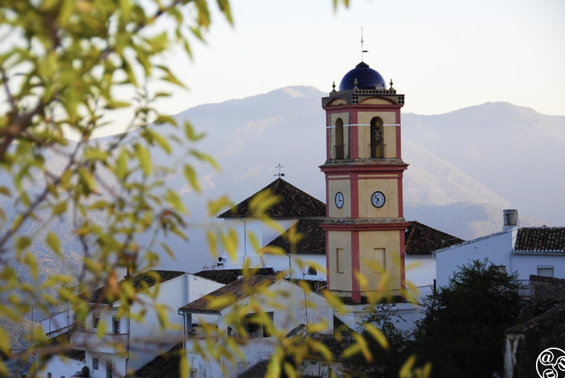 {"uuid":"9bdcba60-3989-4779-a318-c189841ab963","tenant_uuid":"9b9811f8-16bd-4740-9b86-3d224f6d8c99","url_key":"algatocin","location":"Algatocin","latitude":"36.57281390","longitude":"-5.27660670","search_title":"Algatocin","image":"andalucia-country-houses\/hero-images\/2024\/04\/21\/52f9d19b-5106-40fa-9ec4-6bdd4b88ae83.jpeg","main_title":"Algatoc\u00edn, Malaga: Discover Authentic Andalusian Living And New Development Potential","main_content":"<h2><b>Where Is Algatoc&iacute;n?<\/b><\/h2>\r\n<p><span Style=\"font-weight: 400;\">Algatoc&iacute;n Is A Small, Whitewashed Village Set In The Breathtaking Genal Valley, In The Province Of M&aacute;laga, Andalusia. Located Within The Serran&iacute;a De Ronda, It Sits At Over 700 Metres Above Sea Level, Offering Commanding Views Of The Surrounding Forested Hills And The Picturesque Valley Below. The Village Lies Roughly 30 Kilometres South-west Of The Historic City Of Ronda And Is Part Of One Of Spain&rsquo;s Most Unspoilt And Biologically Rich Natural Environments.<\/span><\/p>\r\n<p><span Style=\"font-weight: 400;\">Algatoc&iacute;n Is Easily Accessible By Road, With Well-maintained Routes Connecting It To Nearby Villages Such As Gauc&iacute;n And Benarrab&aacute;. The Beaches Of The Costa Del Sol, Including Estepona And Sabinillas, Are About 90 Minutes Away, While M&aacute;laga International Airport Can Be Reached In Just Under Two Hours. This Makes It Ideal For Buyers Who Want The Tranquillity Of Rural Life With Access To Both Coastal Amenities And Transport Links.<\/span><\/p>\r\n<h2><b>Algatoc&iacute;n Market Trends<\/b><\/h2>\r\n<p><span Style=\"font-weight: 400;\">The Property Market In Algatoc&iacute;n Is Small In Volume But Full Of Character. Homes Here Are Attractively Priced Compared To Properties On The Coast Or In More Touristic Towns Like Ronda. This Affordability Makes The Village Appealing To Buyers Searching For Authentic Andalusian Living, Whether For Retirement, Relocation, Or Investment.<\/span><\/p>\r\n<p><span Style=\"font-weight: 400;\">You Will Find A Mix Of Traditional Village Townhouses, Rustic Cottages, And Rural Fincas. Many Properties Retain Original Features Such As Terracotta Floors, Wooden Beam Ceilings, And Internal Courtyards. While Some Homes Are Fully Restored, Others Offer The Chance To Renovate And Create Something Truly Personal. Due To The Village's Location Within A Protected Natural Zone, Building Restrictions Help Preserve Its Charm And Ensure Limited Development, Which Supports Long-term Property Values.<\/span><\/p>\r\n<p><span Style=\"font-weight: 400;\">Interest In The Area Has Grown Steadily In Recent Years, Particularly Among International Buyers Seeking Peaceful Lifestyles, Investment In Rural Tourism, Or Properties Suitable For Remote Work. The Upward Trend In Lifestyle-driven Purchases Means Demand Is Likely To Continue Rising, While Still Keeping The Market Niche And Stable.<\/span><\/p>\r\n<h2><b>What Is It Like To Live In Algatoc&iacute;n?<\/b><\/h2>\r\n<p><span Style=\"font-weight: 400;\">Living In Algatoc&iacute;n Means Embracing A Lifestyle Of Peace, Nature, And Community. The Village Is Home To Fewer Than 1,000 Residents And Maintains A Warm, Friendly Atmosphere. Daily Life Moves At A Slower Pace, Ideal For Those Looking To Escape The Stress Of Urban Environments.<\/span><\/p>\r\n<p><span Style=\"font-weight: 400;\">Despite Its Small Size, Algatoc&iacute;n Offers Key Amenities, Including A Health Centre, A Primary School, A Pharmacy, And Local Shops For Daily Essentials. There Are Also Traditional Bars And Family-run Restaurants Where Locals Gather To Enjoy Tapas And Conversation. The Social Fabric Of The Village Is Strong, And Newcomers Are Generally Welcomed Into The Community With Open Arms.<\/span><\/p>\r\n<p><span Style=\"font-weight: 400;\">Cultural Life Is Rich And Authentic. Local Fiestas, Such As The Feria De San Francisco And Semana Santa Celebrations, Are Vibrant Events Featuring Music, Dancing, Traditional Food, And Religious Processions. These Occasions Provide A Strong Sense Of Belonging And Continuity, Deeply Rooted In Andalusian Traditions.<\/span><\/p>\r\n<p><span Style=\"font-weight: 400;\">Nature Plays A Central Role In Everyday Life. The Surrounding Hills And Forests Are Perfect For Hiking, Cycling, Birdwatching, And Wild Swimming In The Nearby Rivers. The Clean Air, Stunning Scenery, And Peaceful Environment Make Algatoc&iacute;n A Haven For Artists, Writers, Nature Lovers, And Anyone Looking For A Healthier, More Mindful Lifestyle.<\/span><\/p>\r\n<h2><b>Investment Potential In Algatoc&iacute;n<\/b><\/h2>\r\n<p><span Style=\"font-weight: 400;\">Algatoc&iacute;n Presents An Excellent Opportunity For Buyers Looking To Invest In Rural Andalusia. Its Unique Location In A Protected Natural Park, Combined With Reasonable Property Prices And Growing Interest In Eco-tourism, Make It A Smart Choice For Long-term Investment.<\/span><\/p>\r\n<p><span Style=\"font-weight: 400;\">One Of The Strongest Areas Of Potential Lies In Rural Tourism. The Increasing Popularity Of Experiential Travel Has Created A Market For Guesthouses, Holiday Rentals, And Boutique Bed And Breakfasts That Offer Travellers Something Different From Mainstream Destinations. Properties With Outdoor Spaces, Scenic Views, And Traditional Charm Are Particularly Well Suited For This.<\/span><\/p>\r\n<p><span Style=\"font-weight: 400;\">Another Growing Trend Is Sustainable Living. With Its Abundance Of Natural Resources, Algatoc&iacute;n Is Ideal For Buyers Interested In Off-grid Or Eco-conscious Lifestyles. Many Properties Come With Land That Can Be Used For Small-scale Agriculture, Permaculture, Or Keeping Animals. Water Rights, Solar Power Potential, And Minimal Environmental Disruption Further Enhance The Appeal For This Market.<\/span><\/p>\r\n<p><span Style=\"font-weight: 400;\">As Building Within The Village And Surrounding Areas Is Limited, Demand For Existing Properties Is Likely To Grow, Offering Long-term Capital Appreciation. Buyers Seeking A Balance Of Lifestyle, Sustainability, And Financial Security Will Find Strong Value In Algatoc&iacute;n.<\/span><\/p>\r\n<h2><b>Why Choose Andalucia Country Houses?<\/b><\/h2>\r\n<p><span Style=\"font-weight: 400;\">At <\/span><b>Andalucia Country Houses<\/b><span Style=\"font-weight: 400;\">, We Specialise In Finding And Promoting Exceptional Properties Throughout Rural Andalusia. With More Than Two Decades Of Experience, We Are Trusted Experts In Sourcing Village Homes, Fincas, And Country Estates For Both Lifestyle Buyers And Investors.<\/span><\/p>\r\n<p><span Style=\"font-weight: 400;\">Our Deep Local Knowledge Means We Can Offer Guidance That Goes Beyond The Sale. From Understanding Land Classifications And Legal Processes To Identifying Renovation Potential And Recommending Reliable Local Professionals, We Are With You At Every Stage Of Your Property Journey.<\/span><\/p>\r\n<p><span Style=\"font-weight: 400;\">We Focus On Authenticity, Quality, And Potential. Each Property In Our Portfolio Is Carefully Selected, And Our Listings In Algatoc&iacute;n Reflect The True Character And Value Of The Region. Whether You Are Searching For A Family Home, A Retirement Escape, Or A Tourism Venture, We Can Help You Find The Right Fit.<\/span><\/p>\r\n<h2><b>Frequently Asked Questions<\/b><\/h2>\r\n<p><b>Is Algatoc&iacute;n A Good Place To Live Year-round?<\/b><b><br \/><\/b><span Style=\"font-weight: 400;\"> Yes, Algatoc&iacute;n Is Very Well Suited To Year-round Living. Its Elevation Offers A Cooler, More Comfortable Summer Climate Than The Coast, And The Village Provides Essential Amenities Including Healthcare, Schooling, And Shopping. The Slower Pace Of Life, Natural Surroundings, And Strong Sense Of Community Make It An Excellent Choice For Families, Retirees, And Remote Workers.<\/span><\/p>\r\n<p><b>Are There Renovation Opportunities Available?<\/b><b><br \/><\/b><span Style=\"font-weight: 400;\"> Absolutely. Many Homes In Algatoc&iacute;n Retain Their Original Features And Are In Need Of Thoughtful Restoration. These Properties Are Ideal For Buyers Who Want To Put Their Own Mark On A Home Or Invest In Rural Tourism. Renovation Costs Are Generally Lower Than In More Urbanised Areas, And We Can Recommend Experienced Local Builders, Architects, And Legal Professionals To Help You Through The Process.<\/span><\/p>\r\n<p><b>Can Foreigners Buy Property Easily In Algatoc&iacute;n?<\/b><b><br \/><\/b><span Style=\"font-weight: 400;\"> Yes. The Process Of Buying Property In Spain Is Straightforward For Foreign Nationals. At Andalucia Country Houses, We Regularly Assist International Clients With All Aspects Of Purchasing, Including Obtaining An NIE (Foreigner Identification Number), Managing Legal Paperwork, And Working With Trusted Notaries. We Ensure Your Transaction Is Secure, Transparent, And Compliant With Local Laws.<\/span><\/p>\r\n<p><b>Is The Area Suitable For Remote Work?<\/b><b><br \/><\/b><span Style=\"font-weight: 400;\"> Yes, Many Buyers Are Now Choosing Algatoc&iacute;n Specifically For Its Suitability For Remote Work. The Peaceful Environment, Low Cost Of Living, And Availability Of Reliable Internet Make It Perfect For Digital Nomads, Writers, Creatives, And Professionals Working Online. With Good Road Connections And Proximity To Ronda And M&aacute;laga, Occasional Travel For Business Or Leisure Is Also Convenient.<\/span><\/p>\r\n<h2><b>Conclusion: Invest In The Quiet Beauty Of Algatoc&iacute;n<\/b><\/h2>\r\n<p><span Style=\"font-weight: 400;\">Algatoc&iacute;n Offers A Rare Opportunity To Live And Invest In One Of The Most Beautiful, Peaceful, And Authentic Villages In Andalusia. Surrounded By Nature, Rich In Culture, And Filled With Character Homes, It Is A Place Where You Can Enjoy A Slower, More Fulfilling Lifestyle While Making A Smart Property Decision.<\/span><\/p>\r\n<p><span Style=\"font-weight: 400;\">Whether You Dream Of A Whitewashed Village House, A Mountain-view Finca, Or A Tourism-focused Investment, Algatoc&iacute;n Could Be The Perfect Destination.<\/span><\/p>\r\n<p><span Style=\"font-weight: 400;\"><b>Contact Andalucia Country Houses Today<\/b> To Explore The Best Properties For Sale In Algatoc&iacute;n And Take The First Step Towards Your New Life In Rural Southern Spain.<\/span><\/p>","footer_title":null,"footer_content":null,"youtube_id":null,"hero_image_mode":"centered","gallery_mode":"grid","published":0,"is_featured":0,"created_at":"2024-04-21T18:13:39.000000Z","updated_at":"2025-07-01T12:27:52.000000Z","deleted_at":null,"meta_data":[],"articles":[],"images":[{"uuid":"9e0978ed-3117-4f91-b5f8-59c7a6bd7ab8","tenant_uuid":"9b9811f8-16bd-4740-9b86-3d224f6d8c99","area_guide_uuid":"9bdcba60-3989-4779-a318-c189841ab963","filepath":"andalucia-country-houses\/area-guides\/2025\/01\/23\/922eba1d-ce3d-441c-bc78-e22fc4f0dbe4.jpg","order":null,"caption":null,"created_at":"2025-01-23T12:26:47.000000Z","updated_at":"2025-01-23T12:26:47.000000Z","deleted_at":null},{"uuid":"9e0978ed-8f8b-4277-b622-253426c730fb","tenant_uuid":"9b9811f8-16bd-4740-9b86-3d224f6d8c99","area_guide_uuid":"9bdcba60-3989-4779-a318-c189841ab963","filepath":"andalucia-country-houses\/area-guides\/2025\/01\/23\/592abbfc-9a11-4660-8b50-efb85a9a065f.jpg","order":null,"caption":null,"created_at":"2025-01-23T12:26:47.000000Z","updated_at":"2025-01-23T12:26:47.000000Z","deleted_at":null},{"uuid":"9e0978ed-95cb-4198-8280-5cea0c28fdc5","tenant_uuid":"9b9811f8-16bd-4740-9b86-3d224f6d8c99","area_guide_uuid":"9bdcba60-3989-4779-a318-c189841ab963","filepath":"andalucia-country-houses\/area-guides\/2025\/01\/23\/339a19af-b63c-410e-8435-3bf1cafb66a2.jpg","order":null,"caption":null,"created_at":"2025-01-23T12:26:47.000000Z","updated_at":"2025-01-23T12:26:47.000000Z","deleted_at":null}],"amenities":[{"uuid":"9e097c2b-da4c-4c25-951b-1cf56aa3cfbf","tenant_uuid":"9b9811f8-16bd-4740-9b86-3d224f6d8c99","area_guide_uuid":"9bdcba60-3989-4779-a318-c189841ab963","title":"about Algatocin","content":"Algatoc\u00edn, A Charming Village Nestled In The Serran\u00eda De Ronda In M\u00e1laga, Spain, Offers A Delightful Blend Of Natural Beauty And Local Amenities. Visitors Can Enjoy Picturesque Streets, Traditional Andalusian Architecture, And Stunning Views Of The Surrounding Mountains. The Village Is Known For Its Warm Hospitality, And You Can Find Local Shops And Markets Offering Artisanal Products And Fresh Produce.\r\n\r\nFor Dining, Algatoc\u00edn Boasts A Selection Of Cozy Restaurants And Tapas Bars Where You Can Savor Authentic Andalusian Cuisine. Outdoor Enthusiasts Will Appreciate Nearby Hiking Trails That Allow For Exploration Of The Region's Beautiful Landscapes, Including The Natural Park Of Sierra De Grazalema. Overall, Algatoc\u00edn Provides A Peaceful Retreat With Both Cultural Experiences And Access To Stunning Natural Surroundings.\r\n\r\nThere Are A Handful Of Shops, Including A Great Supermarket Selling All The Fresh Regional Produce .  Excellent Medical Centre Open 24 Hours With Own Ambulance Service .  School , Good Sports Facilities Including Full Size Football Pitch. Tennis And Padel Courts","created_at":"2025-01-23T12:35:51.000000Z","updated_at":"2025-01-23T12:35:51.000000Z","deleted_at":null}]} image