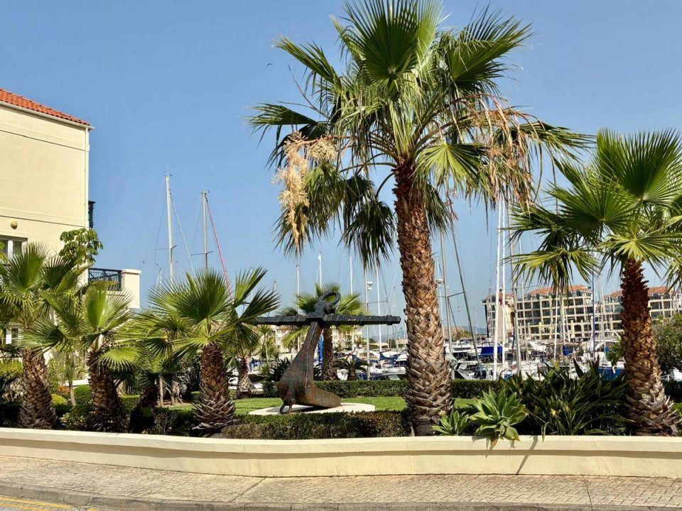 Queensway Quay Marina Lifestyle in Gibraltar Palm-lined waterfront surroundings at Queensway Quay Marina in Gibraltar, a popular residential area for retirees seeking marina-side living.