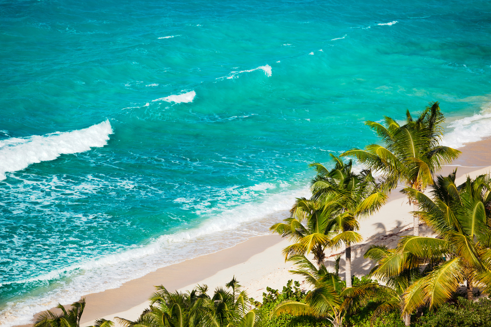 {"uuid":"9b1cfe46-6a23-46f4-8329-211bafbcc039","tenant_uuid":"9ada831e-66b6-425b-99d7-fa2e1a8658ca","url_key":"galley-bay","location":"Galley Bay","latitude":"17.12242740","longitude":"-61.89397320","search_title":"Galley Bay","image":"chestertonsantigua\/hero-images\/2024\/01\/17\/9eac9c7b-23c8-4cfb-9570-4a7a1d7a7223.jpg","main_title":"Galley Bay Area Guide","main_content":"<strong>Experience Exclusive Beachfront Living In One Of Antigua&rsquo;s Most Peaceful And Picturesque Bays.<\/strong><br \/><br \/>Galley Bay Is A Serene Coastal Enclave Located On Antigua&rsquo;s Northwest Coast, Celebrated For Its Natural Beauty, Privacy, And Luxury Beachfront Residences. With Its Pristine Crescent-shaped Beach, Lush Tropical Surroundings, And Calm Turquoise Waters, It Is One Of The Island&rsquo;s Most Sought-after Addresses For Homeowners Seeking An Elegant Caribbean Retreat. Galley Bay Combines Seclusion And Sophistication, Attracting Discerning Buyers Who Value Peace, Quality, And Proximity To The Island&rsquo;s Key Amenities.<br \/><br \/>\r\n<h2>Lifestyle &amp; Community<\/h2>\r\nLife In Galley Bay Is Tranquil And Relaxed, Offering Residents A Perfect Balance Of Luxury And Simplicity. The Area&rsquo;s Peaceful Atmosphere Appeals To Those Who Prefer Privacy And Natural Surroundings Over The Bustle Of Larger Resort Communities. Residents Often Spend Their Days Enjoying Quiet Beach Walks, Swimming In The Calm Bay, Or Unwinding With Sunset Views From Their Terraces.<br \/><br \/>The Community Is Small But Exclusive, With A Close-knit Group Of Homeowners Who Appreciate Refined Coastal Living. Despite Its Seclusion, Galley Bay Is Only A Short Drive From St. John&rsquo;s, Making It Easy To Access Restaurants, Shops, And Services When Needed.<br \/><br \/>\r\n<h2>Food &amp; Dining<\/h2>\r\nAlthough Galley Bay Is Primarily Residential, Several Exceptional Dining Options Are Nearby. The Renowned Galley Bay Resort &amp; Spa Offers Gourmet Beachfront Dining, Featuring Caribbean And International Dishes Made With Fresh Local Ingredients. A Short Drive Away, The Restaurants Of Five Islands And St. John&rsquo;s Provide A Wide Range Of Culinary Experiences, From Fine Dining To Casual Seaside Cafes. The Area&rsquo;s Food Scene Complements Its Peaceful Character, Emphasising Quality, Freshness, And Relaxed Enjoyment.<br \/><br \/>\r\n<h2>Property Market Overview<\/h2>\r\nGalley Bay Is Known For Its Exclusive Beachfront And Hillside Homes, Many Offering Panoramic Ocean Views And Direct Access To The Beach. Properties Here Are Often Architecturally Designed To Blend With The Natural Environment, Featuring Open Layouts, Private Pools, And Tropical Landscaping.<br \/><br \/>The Real Estate Market Is Limited And Competitive, As Very Few Properties Become Available Each Year. This Exclusivity Contributes To Strong Long-term Value And Investment Potential. Buyers Are Typically Drawn By The Area&rsquo;s Privacy, Prestige, And Enduring Appeal Among High-net-worth Individuals Seeking A Peaceful Caribbean Escape.<br \/><br \/>\r\n<h2>Things To Do &amp; Attractions<\/h2>\r\nWhile Galley Bay&rsquo;s Greatest Attraction Is Its Stunning Beach, There Are Plenty Of Activities Nearby. Residents Can Enjoy Snorkelling, Kayaking, And Paddleboarding In The Calm Waters Of The Bay. For More Adventure, Deep Bay And Hawksbill Beach Are Just A Short Drive Away, Offering Scenic Trails And Excellent Swimming Spots.<br \/><br \/>The Nearby Galley Bay Resort &amp; Spa Provides Spa Treatments, Yoga, And Wellness Programmes, While St. John&rsquo;s Offers Cultural Sites, Shopping, And Local Markets. Nature Lovers Will Appreciate The Area&rsquo;s Unspoiled Beauty And Birdwatching Opportunities In The Surrounding Hills.<br \/><br \/>\r\n<h2>Health &amp; Wellness<\/h2>\r\nResidents Of Galley Bay Have Easy Access To Health And Wellness Facilities In And Around St. John&rsquo;s. Local Medical Clinics, Pharmacies, And Hospitals Are Within A 15-minute Drive, Ensuring Peace Of Mind For Full-time Residents And Visitors Alike. The Natural Environment Also Supports A Healthy Lifestyle, With Ample Opportunities For Swimming, Outdoor Exercise, And Relaxation In A Tranquil, Pollution-free Setting.<br \/><br \/>\r\n<h2>Schools &amp; Education<\/h2>\r\nFamilies Living In Galley Bay Can Access Several Reputable Schools In Nearby St. John&rsquo;s, Including Island Academy International, St. Nicholas Primary, And Antigua Grammar School. These Institutions Provide Excellent Academic Programmes And Supportive Communities, Making Galley Bay A Viable Choice For Families Seeking Both Luxury Living And Convenient Access To Quality Education.<br \/><br \/>\r\n<h2>Why Buy In Galley Bay?<\/h2>\r\nGalley Bay Offers A Rare Opportunity To Own Property In One Of Antigua&rsquo;s Most Private And Scenic Coastal Locations. The Combination Of Beachfront Beauty, Exclusivity, And Limited Development Makes It Highly Desirable For Both Residential And Investment Purposes.<br \/><br \/>Whether You Are Looking For A Tranquil Second Home, A Luxury Rental Property, Or A Permanent Retreat, Galley Bay Delivers Unmatched Peace And Prestige. Its Natural Setting, High Property Values, And Proximity To St. John&rsquo;s Make It One Of The Most Stable And Rewarding Areas To Invest In Antigua Real Estate.<br \/><br \/>\r\n<h2>Explore Properties In Galley Bay<\/h2>\r\nDiscover The Ultimate In Luxury Coastal Living.<br \/><strong><a Href=\"https:\/\/www.chestertonsantigua.com\/all-properties-for-sale\/in\/galley+bay\">Explore Galley Bay Properties With Chestertons Antigua<\/a><\/strong> And Find Your Dream Beachfront Or Hillside Home In One Of The Island&rsquo;s Most Exclusive Neighbourhoods.","footer_title":null,"footer_content":null,"youtube_id":null,"hero_image_mode":"centered","gallery_mode":"slider","published":0,"is_featured":0,"created_at":"2024-01-17T10:44:34.000000Z","updated_at":"2025-10-22T12:39:38.000000Z","deleted_at":null,"meta_data":[{"uuid":"9b1d3b66-c1b7-47d4-b998-905a0ac1ca11","tenant_uuid":"9ada831e-66b6-425b-99d7-fa2e1a8658ca","entity_uuid":"9b1cfe46-6a23-46f4-8329-211bafbcc039","entity_type":"App\\Models\\AreaGuide","locale":"en","url":null,"title":"Galley Bay, Antigua | Luxury Homes In Paradise | Chestertons","description":"Explore Galley Bay, Antigua With Chestertons. Discover Luxury Homes Amid Aquamarine Seascapes, White-sand Beaches, And Lush Tropical Gardens","created_at":"2024-01-17T13:35:29.000000Z","updated_at":"2024-01-17T13:35:29.000000Z","deleted_at":null,"parent_uuid":null}],"articles":[],"images":[{"uuid":"a02ca916-d074-485c-9096-6996ff2b16ff","tenant_uuid":"9ada831e-66b6-425b-99d7-fa2e1a8658ca","area_guide_uuid":"9b1cfe46-6a23-46f4-8329-211bafbcc039","filepath":"chestertonsantigua\/area-guides\/2025\/10\/22\/3672408f-2ad0-4ae5-bdc1-60ee7f3be335.jpg","order":null,"caption":null,"created_at":"2025-10-22T12:39:18.000000Z","updated_at":"2025-10-22T12:39:18.000000Z","deleted_at":null},{"uuid":"a02ca917-3314-475f-b96e-04532b831a48","tenant_uuid":"9ada831e-66b6-425b-99d7-fa2e1a8658ca","area_guide_uuid":"9b1cfe46-6a23-46f4-8329-211bafbcc039","filepath":"chestertonsantigua\/area-guides\/2025\/10\/22\/b9001620-46df-485d-82c5-31b5eaa0c0b6.jpg","order":null,"caption":null,"created_at":"2025-10-22T12:39:18.000000Z","updated_at":"2025-10-22T12:39:18.000000Z","deleted_at":null},{"uuid":"a02ca917-47f1-4023-ab47-70f4a34b60ff","tenant_uuid":"9ada831e-66b6-425b-99d7-fa2e1a8658ca","area_guide_uuid":"9b1cfe46-6a23-46f4-8329-211bafbcc039","filepath":"chestertonsantigua\/area-guides\/2025\/10\/22\/1d5f40f8-96d9-499b-9864-ed8260581212.jpg","order":null,"caption":null,"created_at":"2025-10-22T12:39:18.000000Z","updated_at":"2025-10-22T12:39:18.000000Z","deleted_at":null},{"uuid":"a02ca917-4bd7-4898-86e3-31101eecbe3c","tenant_uuid":"9ada831e-66b6-425b-99d7-fa2e1a8658ca","area_guide_uuid":"9b1cfe46-6a23-46f4-8329-211bafbcc039","filepath":"chestertonsantigua\/area-guides\/2025\/10\/22\/a27f0b22-9120-471e-b31f-c15e42274ea7.jpg","order":null,"caption":null,"created_at":"2025-10-22T12:39:18.000000Z","updated_at":"2025-10-22T12:39:18.000000Z","deleted_at":null}],"amenities":[]} image