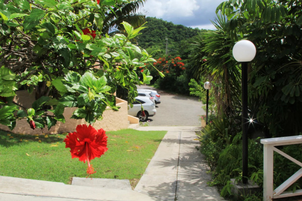 Image of Apartment - 1 Bedrooms - 2 Bathrooms for Rental in Pillar Rock -Antigua And Barbuda, Image 3