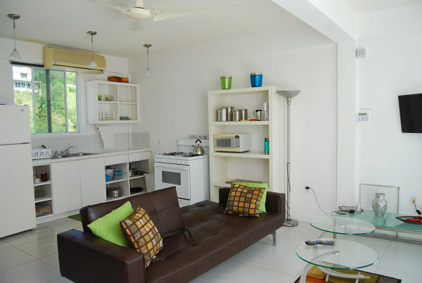 Image of Apartment - 2 Bedrooms - 2 Bathrooms for Rental in Paradise View -Antigua And Barbuda, Image 3