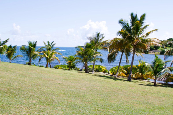Image of Villa - 4 Bedrooms - 5 Bathrooms for Rental in Browns Bay -Antigua And Barbuda, Image 19
