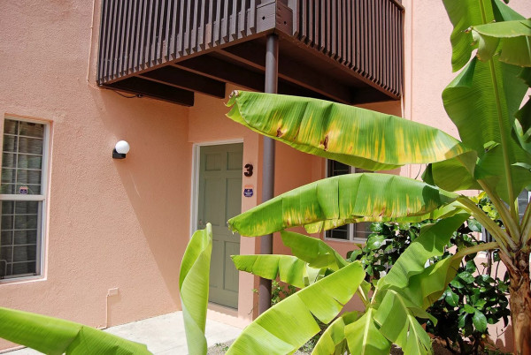 Image of Apartment - 2 Bedrooms - 2 Bathrooms for Rental in Hodges Bay -Antigua And Barbuda, Image 10