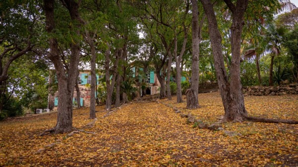 Image of Country House - 1 Bedrooms - 1 Bathrooms for Rental in Mercer's Creek House-Antigua And Barbuda, Image 11