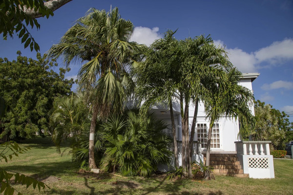 Image of House - 4 Bedrooms - 3 Bathrooms for Sale in St. Johns-Fitches Creek-Antigua And Barbuda, Image 27