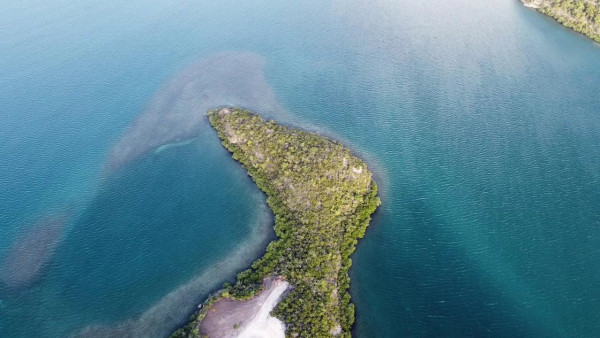 Image of Land for Sale in Saint Philip-Antigua And Barbuda, Image 10