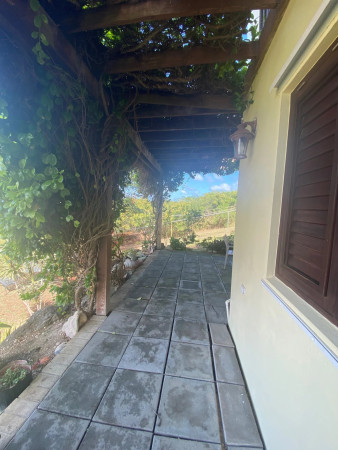  Image of Apartment - 2 Bedrooms - 1 Bathrooms for Flats / Apartments To Let in Fraires Hill Development -Antigua And Barbuda, Image 22