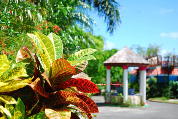 Image of Apartment - 1 Bedrooms - 1 Bathrooms for Rental in Coolidge -Antigua And Barbuda, Image 2