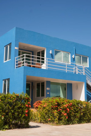 Image of Apartment - 2 Bedrooms - 2 Bathrooms for Rental in Jolly Harbour-Jolly Harbour-Antigua And Barbuda, Image 23