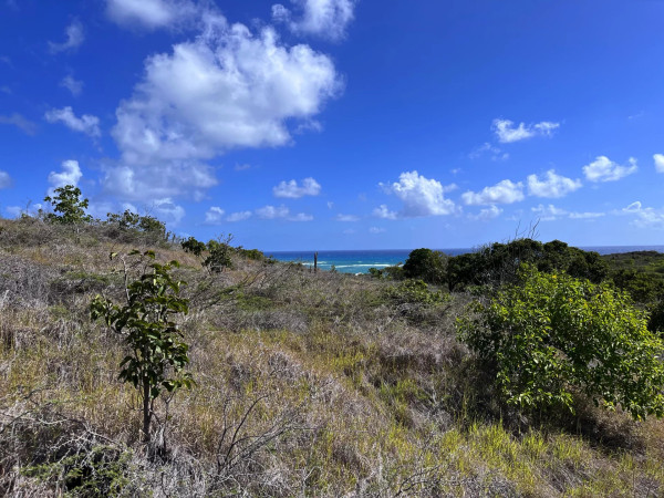 Image of Land for Sale in English Harbour-Antigua And Barbuda, Image 3