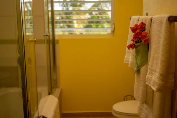 Image of House - 4 Bedrooms - 3 Bathrooms for Rental in Cedar Valley -Antigua And Barbuda, Image 26