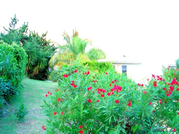 Image of Villa - 4 Bedrooms - 4 Bathrooms for Rental in Paradise View-Antigua And Barbuda, Image 4