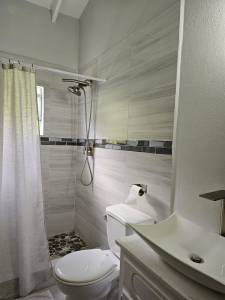 Image of Apartment - 2 Bedrooms - 1 Bathrooms for Rental in St. Georges-Saint John's-Antigua And Barbuda, Image 7