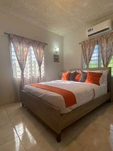 Image of Apartment - 1 Bedrooms - 1 Bathrooms for Rental in St. Johns-Saint John's-Antigua And Barbuda, Image 14