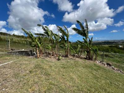 Image of Cottage - 1 Bedrooms - 1 Bathrooms for Rental in Buckleys-St. Johns-Antigua And Barbuda, Image 7