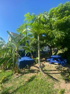Image of Cottage - 3 Bedrooms - 2 Bathrooms for Rental in John Hughes-St. Mary's Parish-Antigua And Barbuda, Image 20