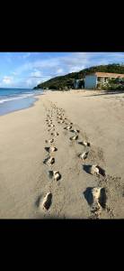 Image of Cottage - 3 Bedrooms - 2 Bathrooms for Rental in John Hughes-St. Mary's Parish-Antigua And Barbuda, Image 22