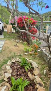 Image of Cottage - 3 Bedrooms - 2 Bathrooms for Rental in John Hughes-St. Mary's Parish-Antigua And Barbuda, Image 23