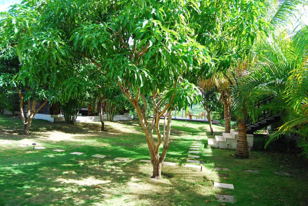 Image of Villa for Rental in English Harbour-Antigua And Barbuda, Image 3
