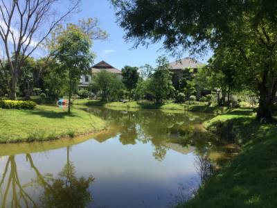 Delightful Riverfront Land and Property