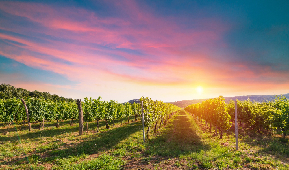 {"uuid":"a038a06c-3941-4b3e-91a4-5927e93f4ab6","tenant_uuid":"9e5fc9e6-2ef8-4ca5-ae33-a9f76aa35061","url_key":"tuscany","location":"Toscana","latitude":"43.56711530","longitude":"10.98070030","search_title":"Toscana | Immobiliare In Toscana","image":"italiannetworkrealty\/hero-images\/2025\/10\/28\/e785f92a-4afd-4399-b38d-ebdd261f529f.jpg","main_title":"Toscana | Immobiliare In Toscana","main_content":"La Toscana &egrave; Sinonimo Di Arte, Storia E Paesaggi Senza Tempo. Le Sue Colline, I Vigneti E Le Citt&agrave; Rinascimentali La Rendono Una Delle Mete Pi&ugrave; Amate D&rsquo;Europa. Gli Acquirenti Cercano Casali In Pietra Ristrutturati, Tenute Di Campagna E Appartamenti Nelle Citt&agrave; D&rsquo;arte Come Firenze E Siena. Ottimi Collegamenti, Scuole Internazionali E Un Solido Mercato Degli Affitti Ne Fanno Una Scelta Ideale Anche Per Investimento.","footer_title":null,"footer_content":null,"youtube_id":null,"hero_image_mode":"centered","gallery_mode":"grid","published":0,"is_featured":0,"created_at":"2025-10-28T11:25:00.000000Z","updated_at":"2025-11-28T11:03:26.000000Z","deleted_at":null,"meta_data":[],"articles":[],"images":[{"uuid":"a038a0b6-7641-4be9-a732-6927b448bc6b","tenant_uuid":"9e5fc9e6-2ef8-4ca5-ae33-a9f76aa35061","area_guide_uuid":"a038a06c-3941-4b3e-91a4-5927e93f4ab6","filepath":"italiannetworkrealty\/area-guides\/2025\/10\/28\/751bf13d-34f7-4e12-a752-f8cd5d666bda.jpg","order":null,"caption":null,"created_at":"2025-10-28T11:25:49.000000Z","updated_at":"2025-10-28T11:25:49.000000Z","deleted_at":null},{"uuid":"a038a0b6-7ab1-4679-8615-bb005961af92","tenant_uuid":"9e5fc9e6-2ef8-4ca5-ae33-a9f76aa35061","area_guide_uuid":"a038a06c-3941-4b3e-91a4-5927e93f4ab6","filepath":"italiannetworkrealty\/area-guides\/2025\/10\/28\/1be01dce-a818-4a36-8eb8-fee97d5fdce1.jpg","order":null,"caption":null,"created_at":"2025-10-28T11:25:49.000000Z","updated_at":"2025-10-28T11:25:49.000000Z","deleted_at":null},{"uuid":"a038a0b6-835d-4872-bc99-63584986f3af","tenant_uuid":"9e5fc9e6-2ef8-4ca5-ae33-a9f76aa35061","area_guide_uuid":"a038a06c-3941-4b3e-91a4-5927e93f4ab6","filepath":"italiannetworkrealty\/area-guides\/2025\/10\/28\/04317ec6-e6da-48a0-b961-92a32e7b6ca5.jpg","order":null,"caption":null,"created_at":"2025-10-28T11:25:49.000000Z","updated_at":"2025-10-28T11:25:49.000000Z","deleted_at":null},{"uuid":"a038a0b6-cd1e-4cce-a663-d887d7cf13f8","tenant_uuid":"9e5fc9e6-2ef8-4ca5-ae33-a9f76aa35061","area_guide_uuid":"a038a06c-3941-4b3e-91a4-5927e93f4ab6","filepath":"italiannetworkrealty\/area-guides\/2025\/10\/28\/4c4c03e5-e2ec-4725-8394-21c103545822.jpg","order":null,"caption":null,"created_at":"2025-10-28T11:25:49.000000Z","updated_at":"2025-10-28T11:25:49.000000Z","deleted_at":null}],"amenities":[]} image