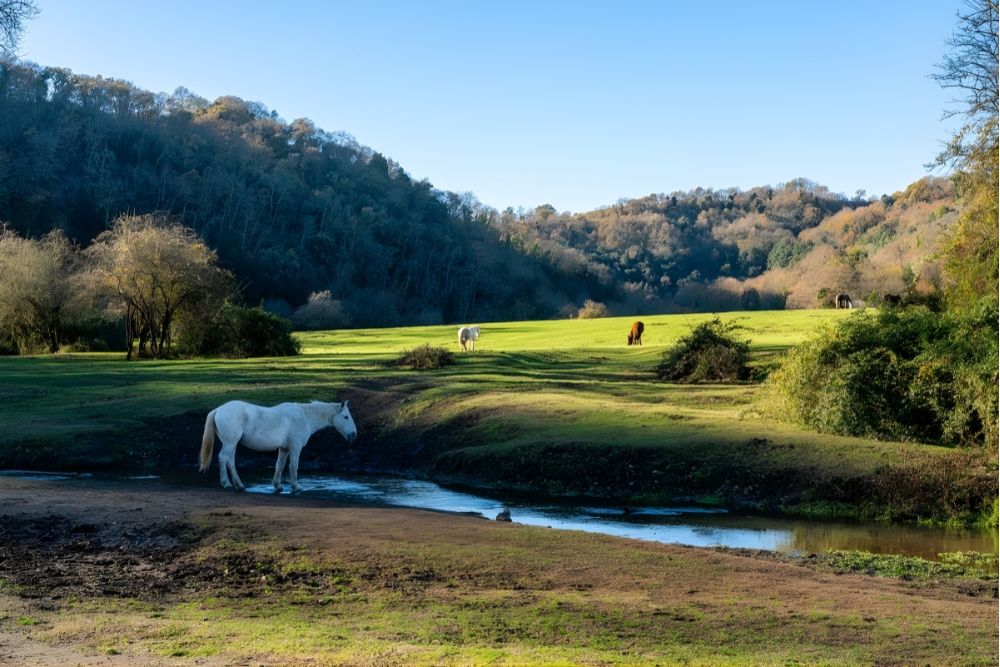 {"uuid":"a038b1a0-0897-4309-9fb3-d5ab96bcdcc9","tenant_uuid":"9e5fc9e6-2ef8-4ca5-ae33-a9f76aa35061","url_key":"lazio","location":"Lazio","latitude":"41.65524180","longitude":"12.98961500","search_title":"Campania | Immobili In Campania","image":"italiannetworkrealty\/hero-images\/2025\/10\/28\/edaed7eb-402f-47ea-a4ad-38333c61ca52.jpg","main_title":"Campania | Immobili In Campania","main_content":"Culla Di Roma, Il Lazio Unisce Storia Antica E Modernit&agrave;. Oltre Alla Capitale, La Regione Offre Borghi Pittoreschi, Vigneti E Paesi Affacciati Sui Laghi. Ottimi Collegamenti E Infrastrutture Internazionali La Rendono Ideale Per Seconde Case E Trasferimenti A Lungo Termine. Dalle Residenze Moderne In Citt&agrave; Alle Ville Sulla Costa Tirrenica, Il Mercato Immobiliare Del Lazio &egrave; Vario E Attraente.","footer_title":null,"footer_content":null,"youtube_id":null,"hero_image_mode":"centered","gallery_mode":"grid","published":0,"is_featured":0,"created_at":"2025-10-28T12:13:06.000000Z","updated_at":"2025-11-28T10:13:57.000000Z","deleted_at":null,"meta_data":[],"articles":[],"images":[{"uuid":"a038b1b7-341f-4878-a8c7-838bf70b89f2","tenant_uuid":"9e5fc9e6-2ef8-4ca5-ae33-a9f76aa35061","area_guide_uuid":"a038b1a0-0897-4309-9fb3-d5ab96bcdcc9","filepath":"italiannetworkrealty\/area-guides\/2025\/10\/28\/b5cde67f-176e-48c4-9a6a-b5c49ae6f2d9.jpg","order":null,"caption":null,"created_at":"2025-10-28T12:13:21.000000Z","updated_at":"2025-10-28T12:13:21.000000Z","deleted_at":null},{"uuid":"a038b1b8-7d13-4f38-be6b-4d65004dcabb","tenant_uuid":"9e5fc9e6-2ef8-4ca5-ae33-a9f76aa35061","area_guide_uuid":"a038b1a0-0897-4309-9fb3-d5ab96bcdcc9","filepath":"italiannetworkrealty\/area-guides\/2025\/10\/28\/20742d25-458d-4fc4-964c-dafb639cc284.jpg","order":null,"caption":null,"created_at":"2025-10-28T12:13:22.000000Z","updated_at":"2025-10-28T12:13:22.000000Z","deleted_at":null},{"uuid":"a038b1b8-d3ff-4bc4-887b-ed45e241316e","tenant_uuid":"9e5fc9e6-2ef8-4ca5-ae33-a9f76aa35061","area_guide_uuid":"a038b1a0-0897-4309-9fb3-d5ab96bcdcc9","filepath":"italiannetworkrealty\/area-guides\/2025\/10\/28\/2d372379-ec1e-4840-8482-25b70d97dfc2.jpg","order":null,"caption":null,"created_at":"2025-10-28T12:13:22.000000Z","updated_at":"2025-10-28T12:13:22.000000Z","deleted_at":null},{"uuid":"a038b1b9-3730-4d7c-a948-0697c76cc126","tenant_uuid":"9e5fc9e6-2ef8-4ca5-ae33-a9f76aa35061","area_guide_uuid":"a038b1a0-0897-4309-9fb3-d5ab96bcdcc9","filepath":"italiannetworkrealty\/area-guides\/2025\/10\/28\/6a600d3c-c924-4fe1-a151-edb341bc58ec.jpg","order":null,"caption":null,"created_at":"2025-10-28T12:13:23.000000Z","updated_at":"2025-10-28T12:13:23.000000Z","deleted_at":null}],"amenities":[]} image