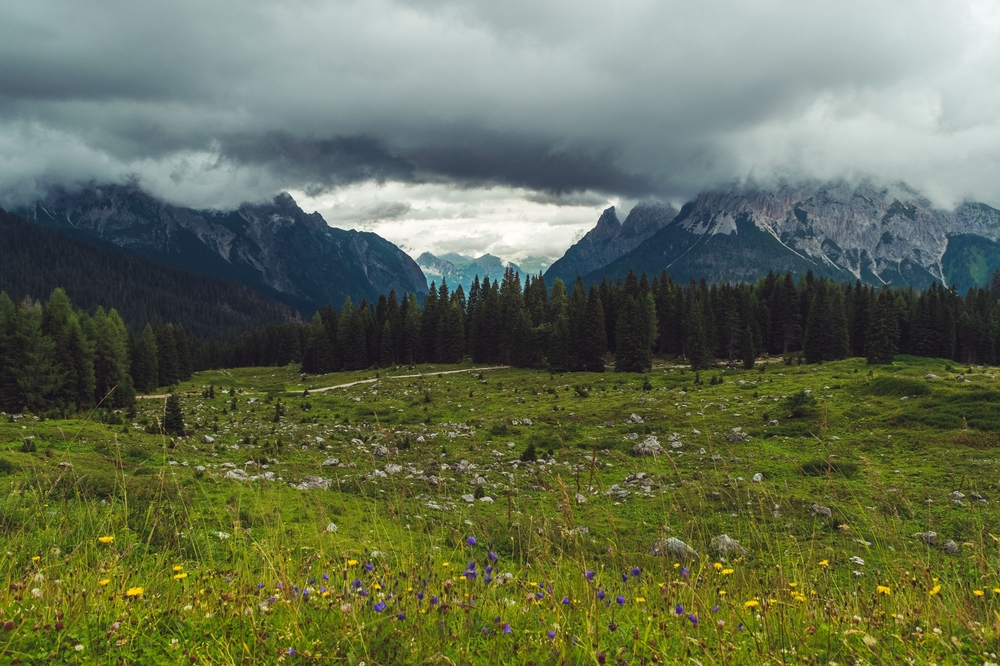 {"uuid":"a0388114-d7d0-4e71-8223-ec13364abd37","tenant_uuid":"9e5fc9e6-2ef8-4ca5-ae33-a9f76aa35061","url_key":"veneto","location":"Veneto","latitude":"45.76233330","longitude":"11.69097600","search_title":"Guida Della Zona Del Veneto","image":"italiannetworkrealty\/hero-images\/2025\/10\/28\/ac79610f-2799-447e-b805-9476b0bf956b.jpg","main_title":"Guida Della Zona Del Veneto","main_content":"<p>Il Veneto Fonde Cultura E Comfort Moderni. Venezia, Verona E Padova Offrono Un Fascino Unico Che Continua Ad Attrarre Acquirenti Da Tutto Il Mondo. Dai Canali Romantici Alle Dolci Colline, La Regione Unisce Arte, Architettura E Natura. Gli Acquirenti Trovano Palazzi Restaurati, Casali Rurali E Appartamenti Moderni A Poca Distanza Dalla Costa Adriatica.<\/p>","footer_title":null,"footer_content":null,"youtube_id":null,"hero_image_mode":"centered","gallery_mode":"grid","published":0,"is_featured":0,"created_at":"2025-10-28T09:57:22.000000Z","updated_at":"2025-11-28T11:06:13.000000Z","deleted_at":null,"meta_data":[],"articles":[],"images":[{"uuid":"a0388127-ad27-4d43-9aaa-de0f65a48cc5","tenant_uuid":"9e5fc9e6-2ef8-4ca5-ae33-a9f76aa35061","area_guide_uuid":"a0388114-d7d0-4e71-8223-ec13364abd37","filepath":"italiannetworkrealty\/area-guides\/2025\/10\/28\/7d5a5e2a-5780-4118-827f-692712638ab2.jpg","order":null,"caption":null,"created_at":"2025-10-28T09:57:34.000000Z","updated_at":"2025-10-28T09:57:34.000000Z","deleted_at":null},{"uuid":"a0388127-c271-4021-b643-22e48502cda0","tenant_uuid":"9e5fc9e6-2ef8-4ca5-ae33-a9f76aa35061","area_guide_uuid":"a0388114-d7d0-4e71-8223-ec13364abd37","filepath":"italiannetworkrealty\/area-guides\/2025\/10\/28\/df41f3b5-a731-4b3c-89b7-a35291e3521f.jpg","order":null,"caption":null,"created_at":"2025-10-28T09:57:34.000000Z","updated_at":"2025-10-28T09:57:34.000000Z","deleted_at":null},{"uuid":"a0388127-c908-4655-b1cd-9a1a9a0857e7","tenant_uuid":"9e5fc9e6-2ef8-4ca5-ae33-a9f76aa35061","area_guide_uuid":"a0388114-d7d0-4e71-8223-ec13364abd37","filepath":"italiannetworkrealty\/area-guides\/2025\/10\/28\/a1f11ea8-776d-478b-9c84-e684dbb5caf1.jpg","order":null,"caption":null,"created_at":"2025-10-28T09:57:34.000000Z","updated_at":"2025-10-28T09:57:34.000000Z","deleted_at":null},{"uuid":"a0388128-1b48-4184-a1e7-0ec05975b9a5","tenant_uuid":"9e5fc9e6-2ef8-4ca5-ae33-a9f76aa35061","area_guide_uuid":"a0388114-d7d0-4e71-8223-ec13364abd37","filepath":"italiannetworkrealty\/area-guides\/2025\/10\/28\/85cb8197-2c6a-4d0a-ad76-24130b4f1504.jpg","order":null,"caption":null,"created_at":"2025-10-28T09:57:35.000000Z","updated_at":"2025-10-28T09:57:35.000000Z","deleted_at":null}],"amenities":[]} image