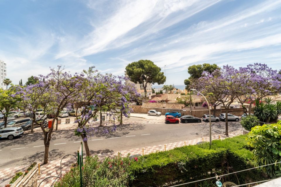 Benalmádena Costa section