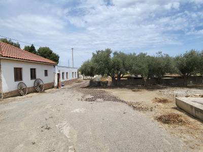 8 Bedroom Villa for Sale in Burjulu