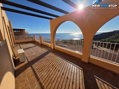 1667- 1 Bedroom Penthouse
