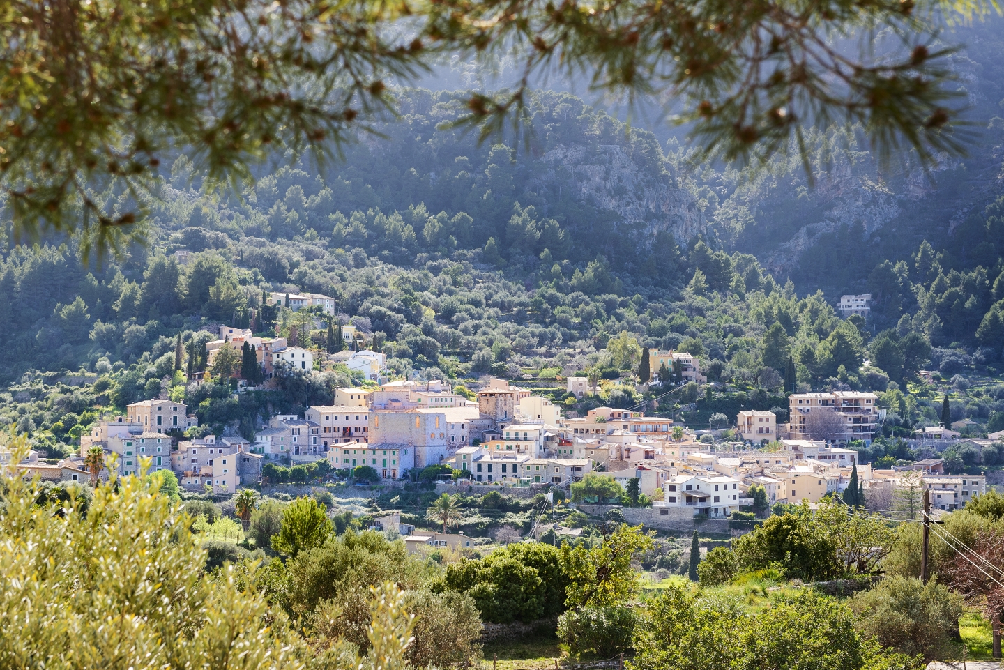 {"uuid":"9d84f4f1-82a1-4655-a870-562312c94e11","tenant_uuid":"9d686f6c-d612-4786-8a9c-05d2cc097e04","url_key":"west-mallorca","location":"West Mallorca","latitude":"39.69526290","longitude":"3.01757120","search_title":"West Mallorca","image":"rokstone\/slides\/2025\/05\/07\/0c97d109-3a49-417c-8073-86e1dad0fbef.jpg","main_title":"West Mallorca \u2013 Dramatic Landscapes And Artistic Vibe","main_content":"The West, Especially The Areas Of Dei&agrave;, <strong>S&ograve;ller<\/strong>, And Valldemossa, Is Framed By The Majestic Tramuntana Mountains And Attracts Those Seeking A Bohemian, Creative Environment. Known For Its Dramatic Cliffs And Scenic Landscapes, This Region Has Inspired Artists, Writers, And Celebrities For Decades. S&oacute;ller, Famed For Its Orange Groves, Is A Traditional Town That Offers An Authentic Mallorcan Experience. The Vintage <strong>tram <\/strong>connects S&oacute;ller To Its Namesake <strong>Port Of S&oacute;ller<\/strong>, A Picturesque Coastal Spot. Nearby, <strong>Fornalutx<\/strong>, Often Cited As One Of Spain&rsquo;s Prettiest Villages, Adds Further Charm To This Region.","footer_title":"Unique Properties With Panoramic Views","footer_content":"Properties Include Hillside Estates, Charming Stone Houses, And <span><a Href=\"..\/..\/all-properties-for-sale\" Target=\"_blank\" Rel=\"noopener\">exclusive Villas<\/a><\/span> With Panoramic Views, Blending Natural Beauty With Artistic Influence.","youtube_id":null,"hero_image_mode":"centered","gallery_mode":"grid","published":0,"is_featured":0,"created_at":"2024-11-18T15:28:27.000000Z","updated_at":"2025-05-07T21:18:51.000000Z","deleted_at":null,"meta_data":[],"articles":[],"images":[{"uuid":"9e224eac-a9ea-4db0-b369-8a3c2a3084d9","tenant_uuid":"9d686f6c-d612-4786-8a9c-05d2cc097e04","area_guide_uuid":"9d84f4f1-82a1-4655-a870-562312c94e11","filepath":"rokstone\/area-guides\/2025\/02\/04\/58fcf969-d4b5-4856-8a6f-112708df1947.jpg","order":null,"caption":null,"created_at":"2025-02-04T20:44:20.000000Z","updated_at":"2025-02-04T20:44:20.000000Z","deleted_at":null},{"uuid":"9e224ece-28df-43db-9d93-5a771d38afcd","tenant_uuid":"9d686f6c-d612-4786-8a9c-05d2cc097e04","area_guide_uuid":"9d84f4f1-82a1-4655-a870-562312c94e11","filepath":"rokstone\/area-guides\/2025\/02\/04\/6fd356c1-9e82-4de8-a1b8-93ff911b19c4.jpg","order":null,"caption":null,"created_at":"2025-02-04T20:44:42.000000Z","updated_at":"2025-02-04T20:44:42.000000Z","deleted_at":null},{"uuid":"9e6a6ffd-22e8-48d6-9019-c8fc80e5a8fd","tenant_uuid":"9d686f6c-d612-4786-8a9c-05d2cc097e04","area_guide_uuid":"9d84f4f1-82a1-4655-a870-562312c94e11","filepath":"rokstone\/area-guides\/2025\/03\/12\/19f6b5f4-666a-4b13-b1c5-a43c59757af4.jpg","order":null,"caption":null,"created_at":"2025-03-12T17:17:05.000000Z","updated_at":"2025-03-12T17:17:05.000000Z","deleted_at":null},{"uuid":"9e6a702e-8003-499a-8900-d4f52831621e","tenant_uuid":"9d686f6c-d612-4786-8a9c-05d2cc097e04","area_guide_uuid":"9d84f4f1-82a1-4655-a870-562312c94e11","filepath":"rokstone\/area-guides\/2025\/03\/12\/8b35147b-63ff-4ff1-8857-06c2f5aa934c.jpg","order":null,"caption":null,"created_at":"2025-03-12T17:17:38.000000Z","updated_at":"2025-03-12T17:17:38.000000Z","deleted_at":null}],"amenities":[]} image