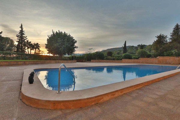 Apartment For Sale In Portals Nous